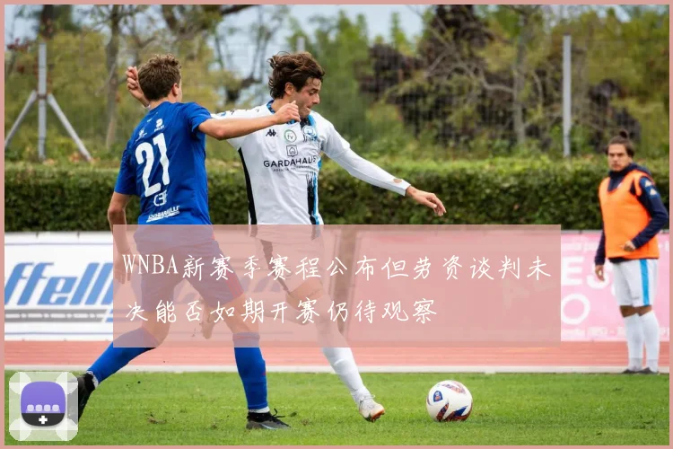 WNBA新赛季赛程公布但劳资谈判未决能否如期开赛仍待观察